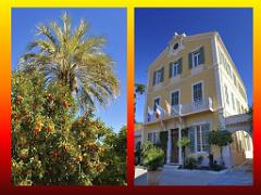 183 D25 BORMES LES MIMOSAS 3_000030